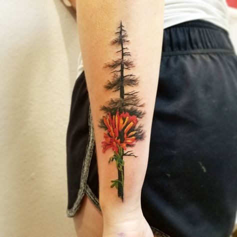 Pine Tree And Flower Tattoo, Pine Tree Sunset Tattoo, Indian Paintbrush Tattoo, Paintbrush Tattoo, Indian Paintbrush Flowers, White Flower Tattoos, Body Artwork, Pine Tattoo, Image Flower