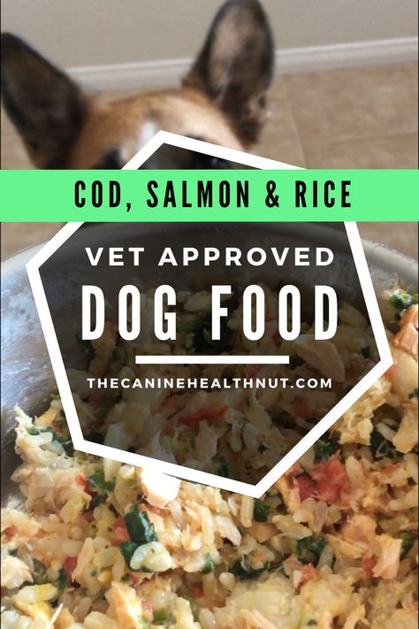 Fish and Rice Dog Food Recipe, Dog looking at food and drooling Fish Dog Food Recipes, Dog Food Recipes With Fish, Vet Approved Dog Food Recipes, Poodle Food Recipes, Dog Food Recipes For Allergies, Homemade Wet Dog Food, Homemade Dog Food With Fish, Homemade Salmon Dog Food Recipes, Homemade Dog Food For Allergies