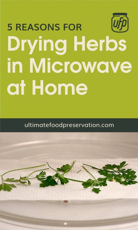 Want to learn how to dry herbs even without a dehydrator? Here are 5 reasons why drying herbs in microwave is a great option for drying herbs at home.| Discover more about home canning at ultimatefoodpreservation.com #dryherbsDIY #gardenherbs Herbs At Home, Drying Fresh Herbs, Food Shelf Life, Food Dehydration, Dry Herbs, Medical Herbs, Summer Harvest, Homemade Spices, Home Canning