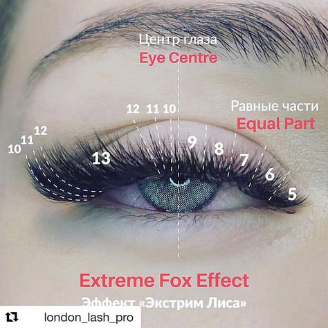 Babillashes_Allen on Instagram: “#Repost @london_lash_pro with @get_repost ・・・ 🔥🔥🔥 We LOVE this mapping for an extreme fox effect lash look by @tashuta_t 🤩🤩🤩 Fox effect…” Eyelash Extensions Salons, Applying False Eyelashes, Cat Eye Lash, Lash Extensions Styles, Eyelash Extensions Styles, Lucet, Lash Business, Eyelash Extentions, Silicone Makeup