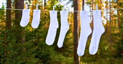 Get dirty socks white again by adding 1 natural item to the washing machine Wash And Fold, Extractor Fans, Natural Kitchen, Cleaning Techniques, Dave Ramsey, White Socks, Trendy Kids, Natural Cleaning Products, White Sock