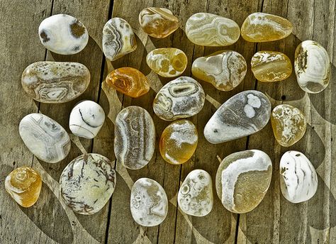 BEACH AGATES -- DSC01751 | Flickr - Photo Sharing! Oregon Beach, Rock Tumbling, Rock Collecting, Rocks And Fossils, Rock Hunting, Geology Rocks, Beach Rocks, Pretty Rocks, Rocks Crystals