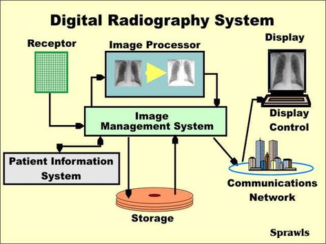 Digital Radiography Digital Radiography, Communication Networks, Google Images, Quick Saves