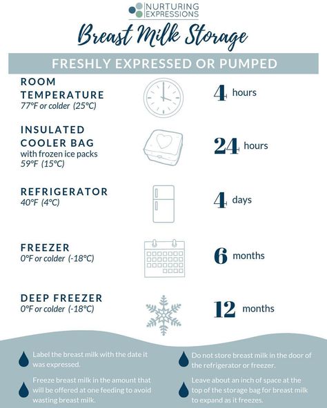 Pumping Milk Storage, Exclusively Pumping Storage, Pumped Milk Guidelines, Breast Milk Storage Chart, Pumped Milk Storage, Breastmilk Storage Guidelines Printable, Baby Breastmilk Intake Chart, Newborn Guidelines, Milk Storage Breastfeeding