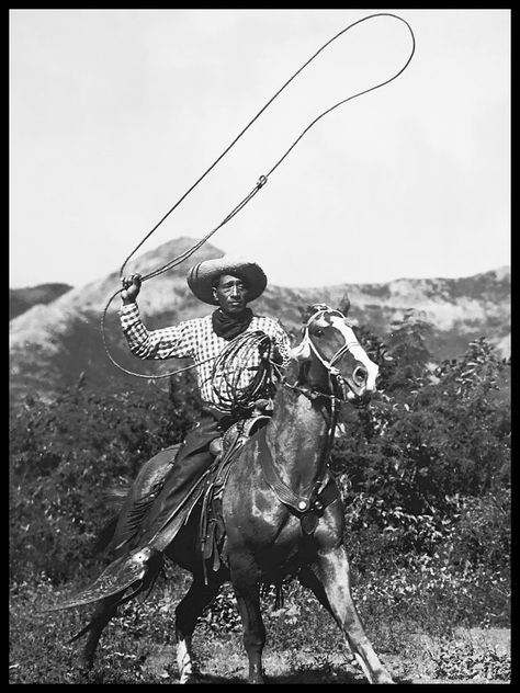 Hawaiian Kane Paniolo Mauna Kea Hawaii Island Hawaiian Cowboy, Mauna Kea Hawaii, Old Hawaii, Mauna Kea, Cowboy Baby, Story Design, Hawaii Homes, Vintage Hawaii, Baby Cowboy