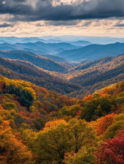 Blue Ridge Mountains Virginia, Blue Ridge Mountains North Carolina, Iphone Backgrounds Nature, Mountains North Carolina, Skyline Drive, Shenandoah Valley, Places In The World, Autumn Scenery, Blue Ridge Parkway