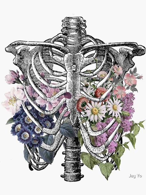 Rib Cage Drawing Flowers, Lungs In Rib Cage, Skeleton Rib Cage With Flowers Tattoo, Skeleton Ribs Tattoo, Rib Cage Floral Tattoo, Rib Cage Sketch, Ribs With Flowers, Rib Cage Flowers, Ribcage With Flowers