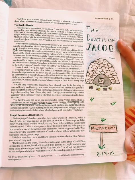 Genesis 29 Bible Journaling, Bible Journaling Genesis, Scripture Notes, Bible Doodles, Journaling Ideas Drawings, Inspire Bible, Bible Journaling Ideas Drawings, Bible Journal Notes, Book Of Genesis