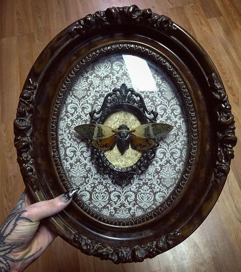 Beautiful vintage bubble glass frame.                                                                                                                                                                                 More Décor Steampunk, Film Decor, Steampunk Decor, Goth Home, Goth Home Decor, Dark Home, Goth Decor, Glass Frame, Gothic Decor