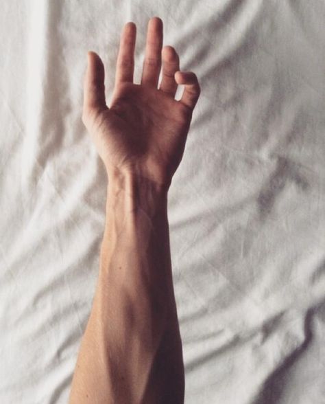 our brains are proper weird Arm Veins, Veiny Arms, Hand Veins, Xavier Samuel, Arm Drawing, Jason Grace, Hand Reference, Male Hands, Clint Barton