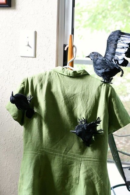 The Birds Costume, Birds Costume, Easy Diy Costume, Tippi Hedren, Office Halloween, Easy Diy Costumes, Easy Costume, Halloween Store, Easy Costumes