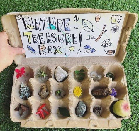 Create a treasure chest with the kiddos Egg Box Craft, Forest School Activities, Nature School, Egg Carton Crafts, Nature Camping, Egg Box, Nature Table, Nature Play, Egg Carton