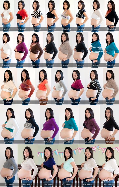 Week by WeekBelly Progression Bump Progression, Twin Pregnancy Belly, Baby Bump Progression, Baby Weeks, Pregnancy Timeline, Pregnancy Tracker, Healthy Pregnancy Tips, Pregnancy Progression, Pregnancy Bump