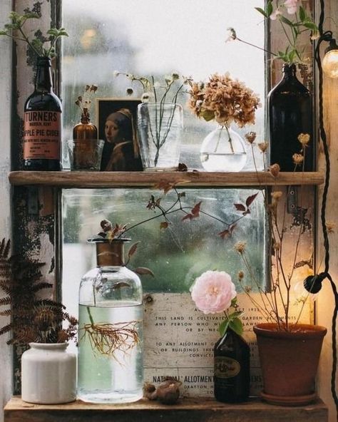 Cottage Witch Aesthetic, Practical Magic House, Green Academia, Cottage Witch, Witch Cottage, Cottage Aesthetic, Casa Vintage, Magic Aesthetic, Witch House