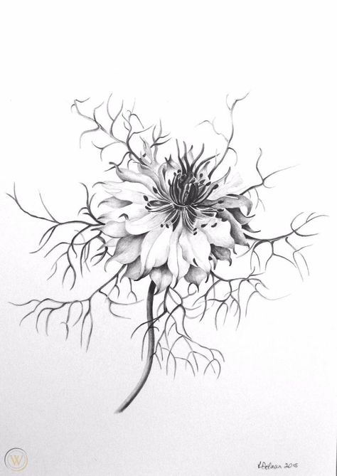 Love In The Mist Flower Tattoo, Love In A Mist Flower Drawing, Nigella Flower Drawing, Nigella Flower Tattoo, Love In A Mist Flower, Uni Moodboard, Nigella Flower, Love In The Mist, Ink Sketching