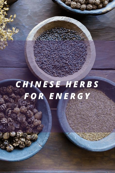 Chinese Herbs Medicine, Brain Fatigue, Herbs For Energy, Herbal Soup, Chinese Herbal Tea, Practice Sketches, Body Nutrition, Medical Herbs, Chinese Herbs