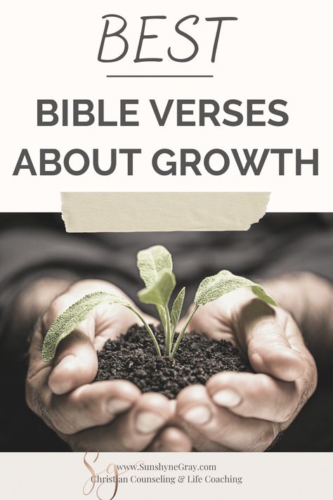 Bible Verse On Growth, Biblical Growth Mindset, Grow Bible Verse, Quotes About Spiritual Growth, Scripture About Growing In Faith, How To Grow In Your Faith, Scriptures About Growth, Bible Verse For Growth, Bible Verse Growth