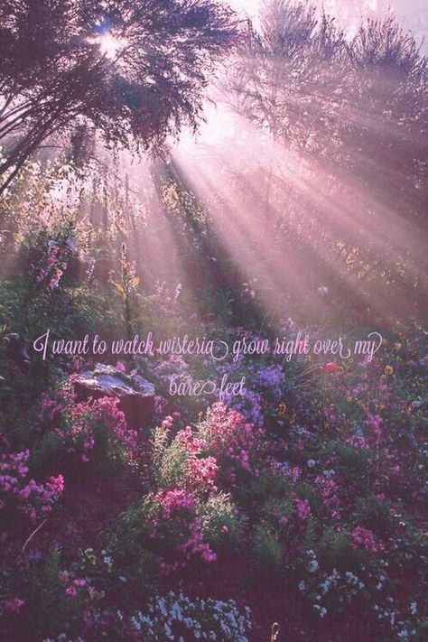 Aesthetic Wallpaper Bible, Taylor Swift Inspired Wallpaper, Wallpaper Bible Quotes, Lakes Taylor Swift, The Lakes Taylor Swift, Lotus Flower Wallpaper, Wallpaper Bible, Inspired Wallpaper, Taylor Swift Inspired