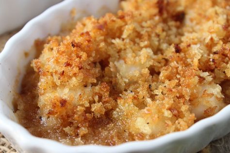 bay scallops with panko breading baked Bay Scallop Recipes Baked, Recipes With Bay Scallops, Bay Scallops Recipe, Scallop Casserole, Scallop Recipes Baked, Bay Scallop Recipes, Scallops Recipes, Scallop Recipe, Seafood Scallops