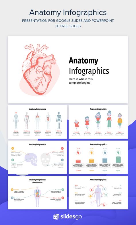 Anatomy Presentation Ideas, Anatomy Presentation, Medical Powerpoint Templates, Mẫu Power Point, Anatomy Medical, Case Presentation, Presentation Slides Design, Powerpoint Slide Designs, Slides Design