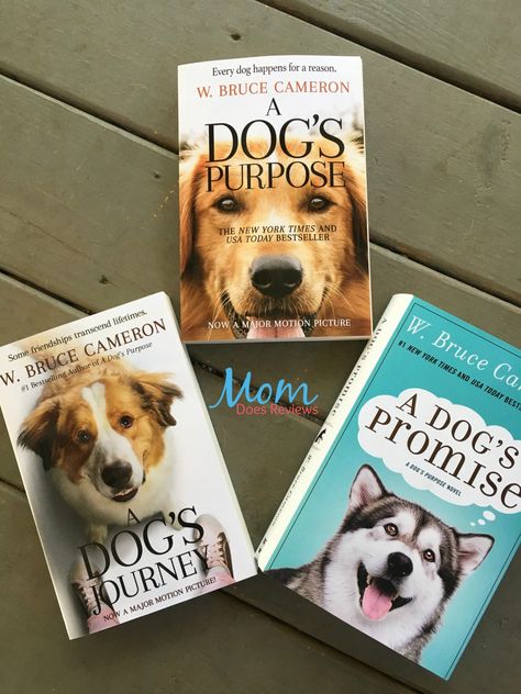 W. Bruce Cameron captivates older kids and adults with his A Dog's Promise, from A Dog's Purpose series.  Plus there are also great Puppy Tales books A Dogs Purpose Book, A Dog's Purpose, A Dog's Journey, A Dogs Purpose, Beverly Hills Chihuahua, Mystery Boxes, Pitbull Puppy, Lucky Dog, Dog Books