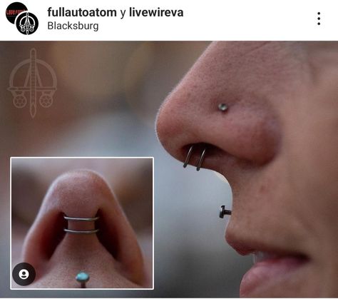 Double Septum Piercing, Double Septum, Piercing Inspo, Septum Piercing, Atom, Piercings, Instagram Photos, Photo And Video, Instagram Photo