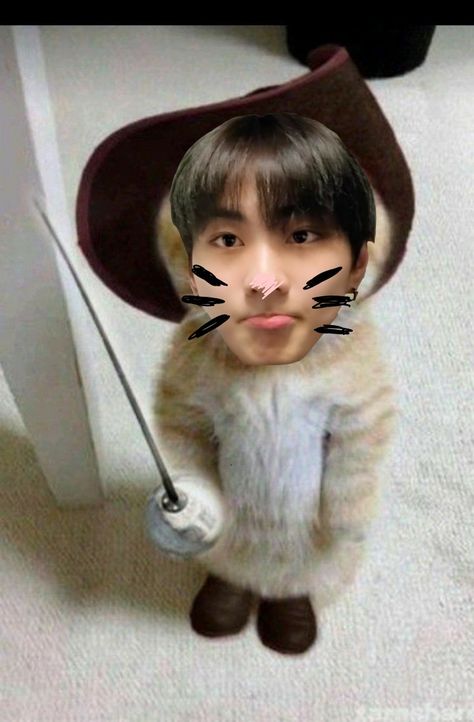 Jungwon as cat Cat Jungwon, Jungwon Cat, Cat Banner, Cat Pose, Cat Pics, Cat Memes, Memes