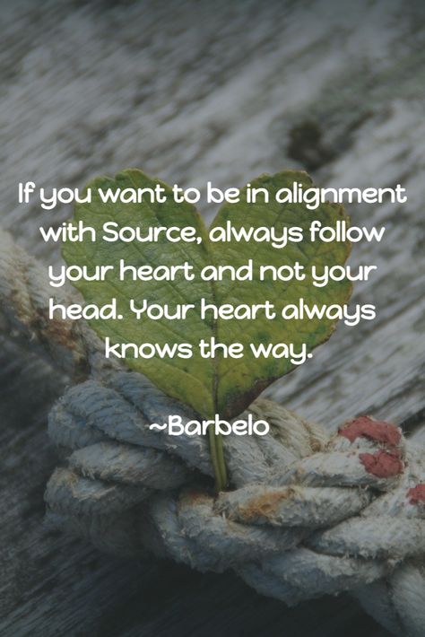 If you want to be in alignment with Source, always follow your heart and not your head. Your heart always knows the way. ~Barbelo #CwG #StayInTheFlow If You Want To Know Where Your Heart Is, Choosing Between Your Head And Your Heart, Not Always Eye To Eye But Heart To Heart, It Would Be A Privilege To Have My Heart, Do Not Let Your Heart Be Troubled, Following Your Heart Quotes, Your Head, Follow Your Heart, Quote Aesthetic