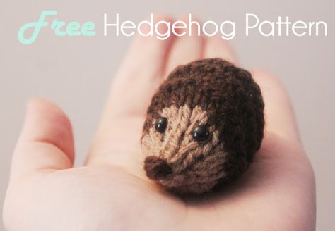 Free knitting pattern baby hedgehog Hedgehog Pattern, Knitted Toys Free Patterns, Baby Hedgehog, Animal Knitting Patterns, Free Toys, Knitting Patterns Toys, Baby Knitting Patterns Free, Knitted Animals, Easy Knitting Patterns