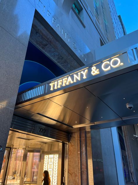 #tiffanyandco #nyc #newyorkcity Liminal Pictures, Tiffany New York, Waldorf Aesthetic, Nyc Places, Blair Waldorf Aesthetic, America Trip, High Building, Plane Ticket, York Aesthetic