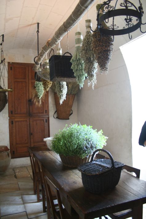 hanging dried herbs or lavendar in kitchen window--should dry in dark as light bleaches nutrients--nice diy drying pole. Hanging Herb Gardens, Kitchen Garden Window, Window Herb Garden, Herb Garden Ideas, Easy Herbs To Grow, Hanging Herb Garden, Hanging Herbs, Herb Garden In Kitchen, Natural Kitchen