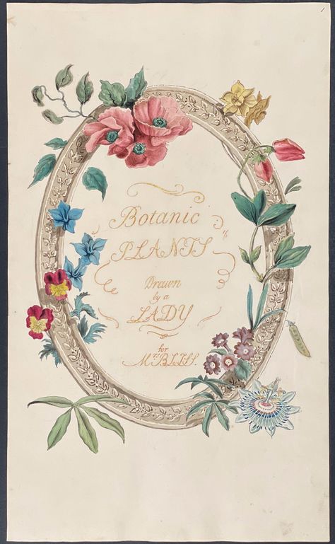 Wreath with Passion Flower, Pansies, Auricula, Mallow, Daffodil by Attributed to: Mary Lawrance (Kearse): (1800) Art / Print / Poster | Trillium Antique Prints & Rare Books 1800 Art, Gum Arabic, Plant Drawing, Botanical Watercolor, Passion Flower, The Passion, Book Plates, Antique Prints, Rare Books