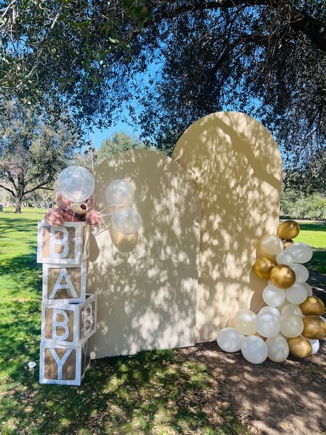 Gender Reveal Photo Backdrop, Gender Reveal Backdrop, Gender Reveal Photos, Outdoor Backdrops, Gender Reveal Ideas, Backdrop Diy, Gender Reveal Party Decorations, Gender Reveal Cake, Girls' Generation