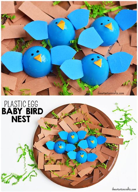 Plastic Egg Birds Nest Craft Birds Nest Craft, Nest Craft, Arts N Crafts, Bird Nest Craft, Bird Eggs, Birds Nest, Bird Crafts, Plastic Eggs, Spring Activities