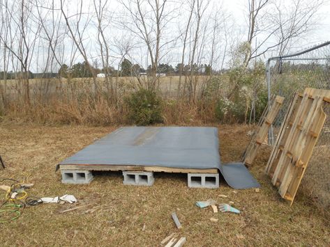 Our newly finished pallet coop!! | BackYard Chickens Pallet Chicken Coop Diy Easy, Pallet Chicken Roost, Wood Pellets For Chicken Coop, Osb Chicken Coop, Diy Pallet Chicken Roost, Chicken Coop Plywood Diy, Pallet Coop, Chicken Coop Pallets, Easy Chicken Coop