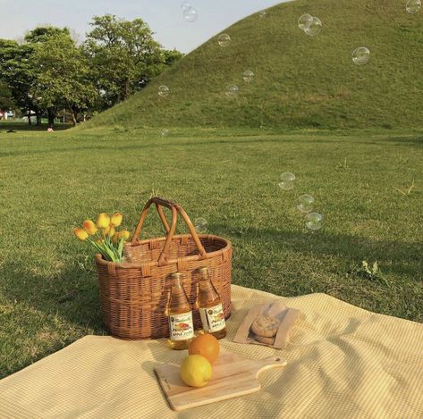 Picnic Inspiration, Cottage Aesthetic, Pic Nic, Picnic Date, Fotografi Editorial, Cottage Core Aesthetic, Seni Cat Air, Cottagecore Aesthetic, Spring Aesthetic