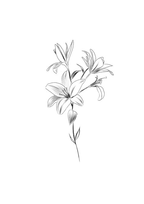 Daylilies Tattoo, Jade Flower Tattoo, Silent Princess Flower Drawing, Giglio Tattoo, Fine Line Lily Tattoo, Lilly Tattoo Design, Tiger Lily Tattoos, Lily Tattoos, Carnation Tattoo