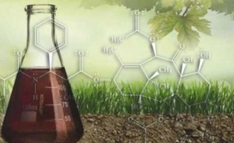 The Real Story about Humic Acid | EndSickness.org Getting More Energy, Humic Acid, Cell Line, Fulvic Acid, Agriculture Education, Soil Health, Beneficial Bacteria, Soil Improvement, Plant Roots