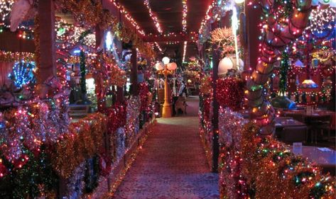 Arlington Texas Restaurants, Texas Bucket List, Holiday Characters, Texas Restaurant, Indoor Christmas Lights, Texas Christmas, Christmas Light Show, Arlington Texas, Sparkling Lights