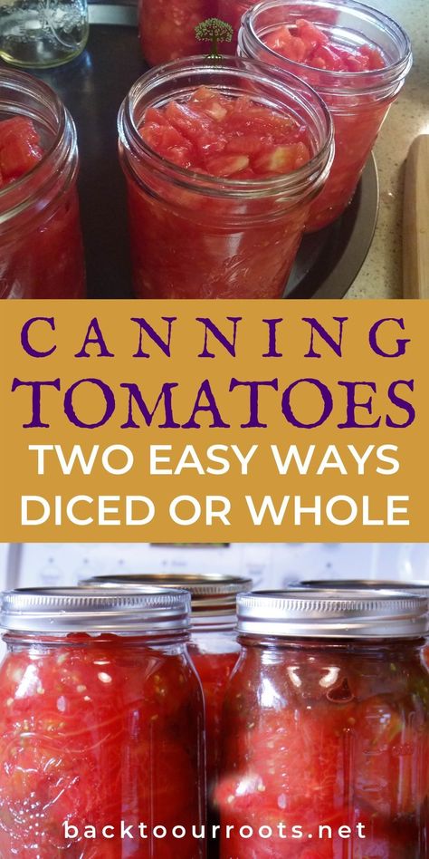 Canning Pantry, Canned Tomato Recipes, Salsa Canning Recipes, Canning Tomatoes Recipes, Tomato Harvest, Can Food, Easy Canning, Pressure Canning Recipes, Canning Fruit