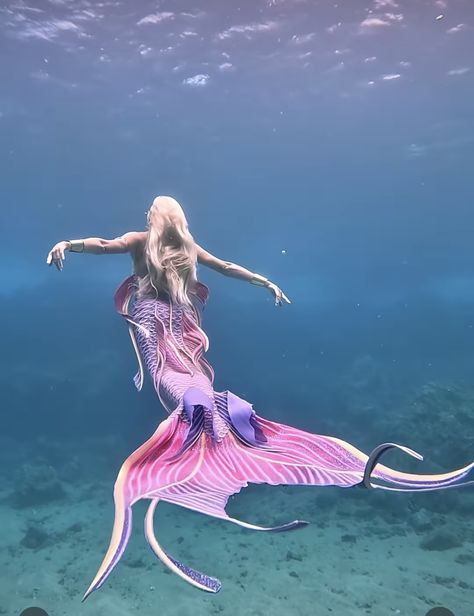 3 Mermaids, Dark Mermaid, Mermaid Photography, H2o Mermaids, Mermaid Photos, Siren Mermaid, Fantasy Mermaid, Mermaid Core, Mermaid Fairy