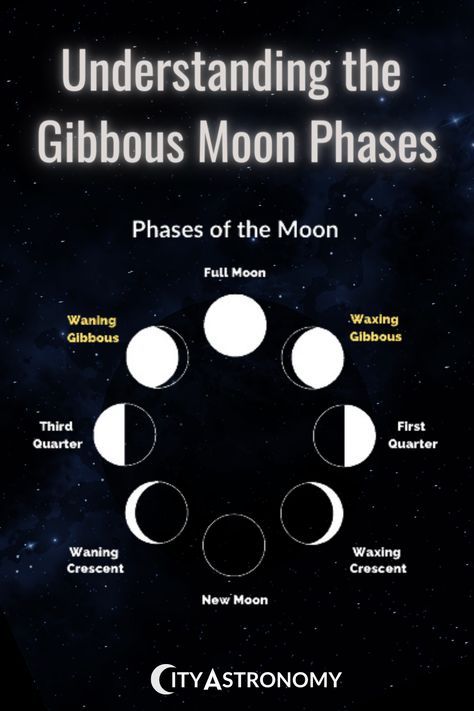 🌔✨Set out on a lunar journey to understand the Gibbous Moon phases. These fascinating stages offer more than just light; they hold secrets to the moon's cycle. #GibbousMoon #LunarPhases #MoonCycle Gibbous Moon, Moon Surface, Lunar Phase, Lunar Cycle, Moon Cycles, Moon Phases, Full Moon, Astronomy, The Sun