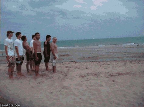 Human Bowling, The Meta Picture, Camera World, Gif Pictures, On Beach, Heroes Of Olympus, Beach Photos, Goa, Animated Gifs