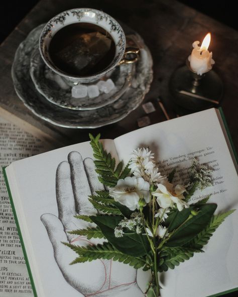 Toh Covens, Hedge Witch Aesthetic, Dorm Pictures, Green Witch Aesthetic, Witch Aesthetics, The Green Witch, Green Academia, Nature Witch, Green Witchcraft