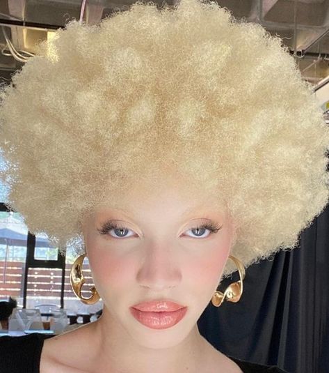 Albino Black Woman, Albino Black People, Black Albino, Albino Woman, Albino Model, Albino Girl, Highlights Curly Hair, Vintage Black Glamour, Ginger Girls