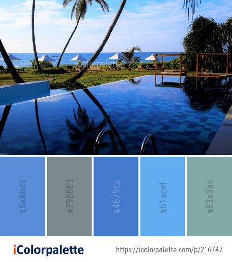 Color Palette Ideas from Resort Swimming Pool Water Image Resort Color Palette, Pool Color Palette, Resort Swimming Pool, Best Color Palettes, Palette Projects, Color Palette Ideas, Water Images, Pool Colors, Swimming Pool Water