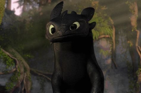 Cute Toothless, Train Dragon, Happy Friday The 13th, Toothless Dragon, Hiccup And Toothless, Httyd Dragons, Dragon Trainer, Night Fury, Cute Disney Wallpaper