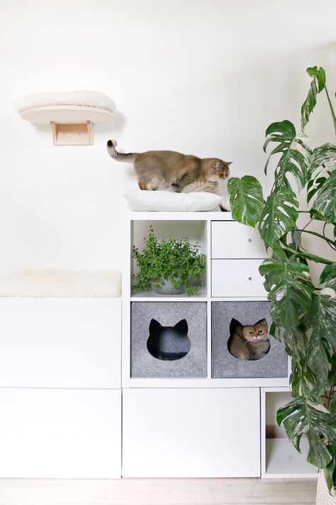 20+ Easy IKEA Hacks for Cats (and Cat Parents!) - Whiskers Magoo Kallax Cat Bed, Diy Cat Cubby, Cat Kallax Hack, Ikea Kallax Cat Hack, Ikea Hack Cat Tree, Kallax Cat Hack, Ikea Cat Hack, Bookshelf Cat Tree, Kallax Cat