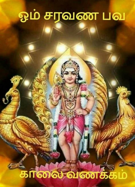 Lord Murugan Good Morning Images, Murugan Good Morning Images, Diwali Wallpapers, Happy Diwali Wallpapers, Good Night Friends Images, Good Morning Clips, Happy Wedding Anniversary Wishes, Murugan Wallpapers, Disney Drawings Sketches