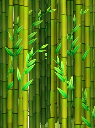 Pattern Design Template, Adobe Illustrator Portrait, Background Pattern Design, Bamboo Background, Panda Drawing, Green Bamboo, Bamboo Art, Cute Love Wallpapers, Leaf Background